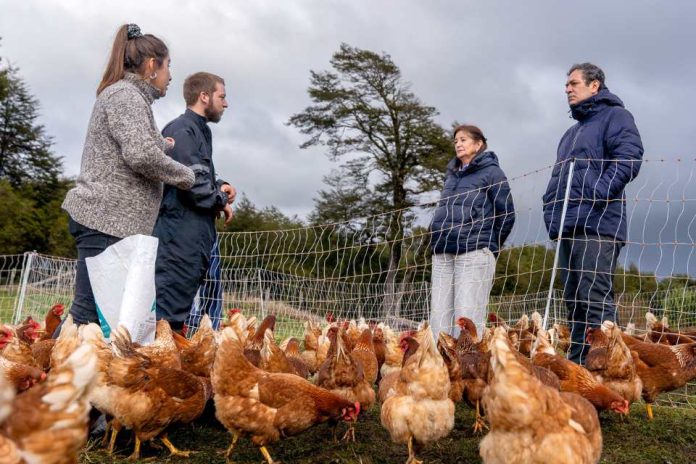 INDAP Ñuble catastrará más de 1200 agricultores afectados para focalizar apoyos tras declaración de emergencia agrícola (1) INDAP Ñuble catastrará más de 1200 agricultores afectados para focalizar apoyos tras declaración de emergencia agrícola (1)