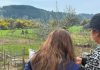 INDAP Ñuble catastrará más de 1200 agricultores afectados para focalizar apoyos tras declaración de emergencia agrícola