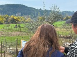 INDAP Ñuble catastrará más de 1200 agricultores afectados para focalizar apoyos tras declaración de emergencia agrícola INDAP Ñuble catastrará más de 1200 agricultores afectados para focalizar apoyos tras declaración de emergencia agrícola