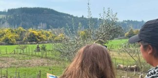 INDAP Ñuble catastrará más de 1200 agricultores afectados para focalizar apoyos tras declaración de emergencia agrícola INDAP Ñuble catastrará más de 1200 agricultores afectados para focalizar apoyos tras declaración de emergencia agrícola
