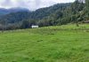 INDAP abre concursos para mejorar suelos y praderas en Aysén INDAP abre concursos para mejorar suelos y praderas en Aysén