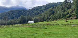INDAP abre concursos para mejorar suelos y praderas en Aysén