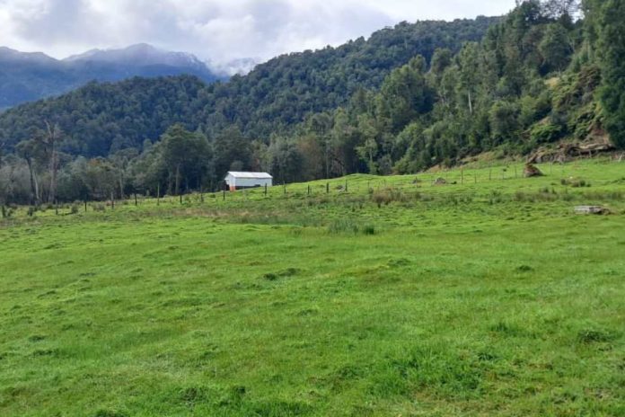 INDAP abre concursos para mejorar suelos y praderas en Aysén INDAP abre concursos para mejorar suelos y praderas en Aysén