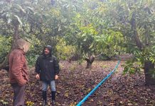 INDAP amplía apoyo y refuerza catastro de agricultores afectados por sistemas frontales