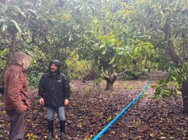 INDAP amplía apoyo y refuerza catastro de agricultores afectados por sistemas frontales INDAP amplía apoyo y refuerza catastro de agricultores afectados por sistemas frontales