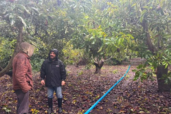 INDAP amplía apoyo y refuerza catastro de agricultores afectados por sistemas frontales INDAP amplía apoyo y refuerza catastro de agricultores afectados por sistemas frontales