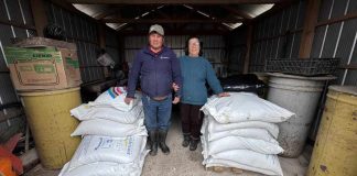 INDAP comienza entrega de 65 toneladas de alimentación animal en Ñuble INDAP comienza entrega de 65 toneladas de alimentación animal en Ñuble