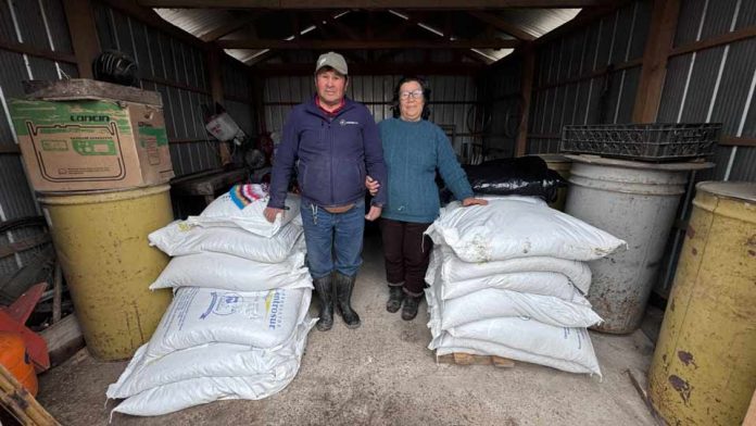 INDAP comienza entrega de 65 toneladas de alimentación animal en Ñuble INDAP comienza entrega de 65 toneladas de alimentación animal en Ñuble