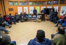 INDAP coordina entrega de 300 toneladas de forraje para ganaderos de Alto Biobío