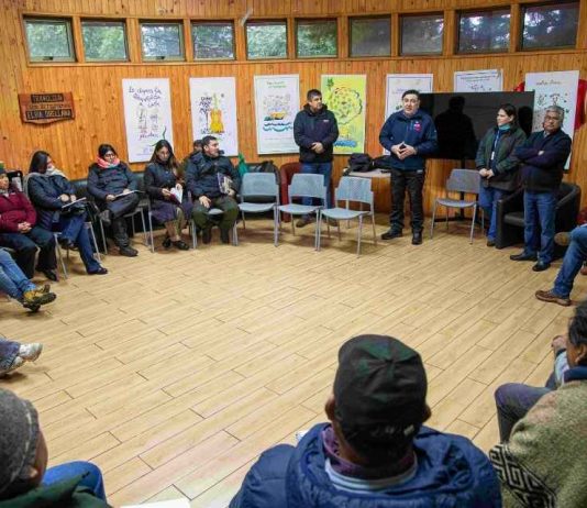 INDAP coordina entrega de 300 toneladas de forraje para ganaderos de Alto Biobío INDAP coordina entrega de 300 toneladas de forraje para ganaderos de Alto Biobío