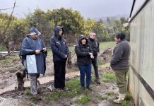 INDAP despliega apoyo en terreno para acelerar ayudas a agricultores afectados por sistema frontal en La Araucanía y Ñuble INDAP despliega apoyo en terreno para acelerar ayudas a agricultores afectados por sistema frontal en La Araucanía y Ñuble