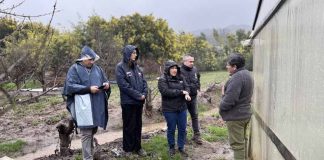INDAP despliega apoyo en terreno para acelerar ayudas a agricultores afectados por sistema frontal en La Araucanía y Ñuble INDAP despliega apoyo en terreno para acelerar ayudas a agricultores afectados por sistema frontal en La Araucanía y Ñuble