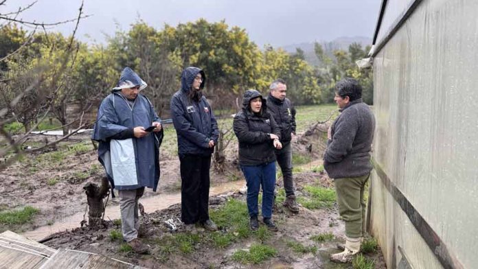 INDAP despliega apoyo en terreno para acelerar ayudas a agricultores afectados por sistema frontal en La Araucanía y Ñuble INDAP despliega apoyo en terreno para acelerar ayudas a agricultores afectados por sistema frontal en La Araucanía y Ñuble