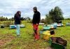 INDAP despliega apoyo en terreno para acelerar ayudas a agricultores afectados por sistema frontal en La Araucanía y Ñuble INDAP despliega apoyo en terreno para acelerar ayudas a agricultores afectados por sistema frontal en La Araucanía y Ñuble
