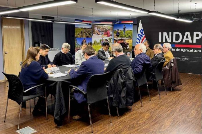 INDAP presentó su estrategia de desarrollo 2026-2030 a los países participantes de la REAF