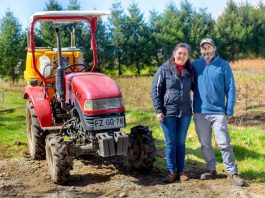 INDAP y Agroseguros lanzan campaña y estrenan espacio web para proteger el trabajo de la Agricultura Familiar Campesina INDAP y Agroseguros lanzan campaña y estrenan espacio web para proteger el trabajo de la Agricultura Familiar Campesina