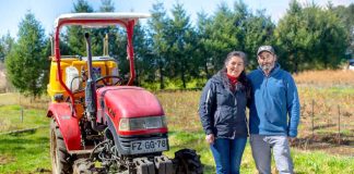 INDAP y Agroseguros lanzan campaña y estrenan espacio web para proteger el trabajo de la Agricultura Familiar Campesina