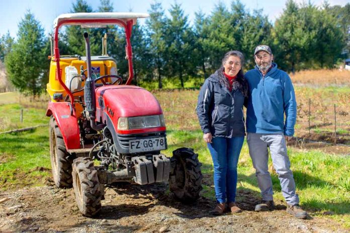 INDAP y Agroseguros, Agricultura Familiar Campesina INDAP y Agroseguros lanzan campaña y estrenan espacio web para proteger el trabajo de la Agricultura Familiar Campesina