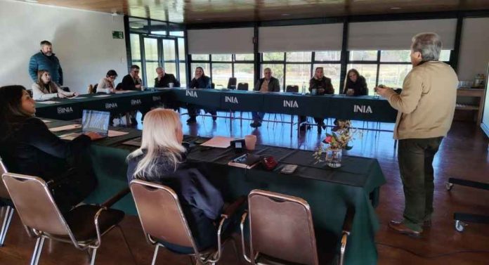 INIA Carillanca fortalece su vínculo con el sector agropecuario a través de nuevo Consejo Asesor Externo INIA Carillanca fortalece su vínculo con el sector agropecuario a través de nuevo Consejo Asesor Externo