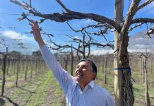 INIA Intihuasi entrega recomendaciones a viticultores para enfrentar daños provocados por lluvias INIA Intihuasi entrega recomendaciones a viticultores para enfrentar daños provocados por lluvias