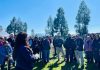 INIA Rayentué y SAG acercan normativa sobre bioinsumos a agricultores de O’Higgins INIA Rayentué y SAG acercan normativa sobre bioinsumos a agricultores de O’Higgins