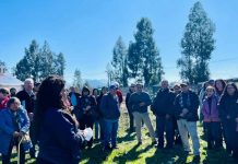 INIA Rayentué y SAG acercan normativa sobre bioinsumos a agricultores de O’Higgins INIA Rayentué y SAG acercan normativa sobre bioinsumos a agricultores de O’Higgins
