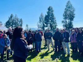 INIA Rayentué y SAG acercan normativa sobre bioinsumos a agricultores de O’Higgins