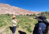 INIA Ururi y GORE lanzan proyecto para potenciar la alfalfa ancestral Alta Sierra en el Norte de Chile INIA Ururi y GORE lanzan proyecto para potenciar la alfalfa ancestral Alta Sierra en el Norte de Chile
