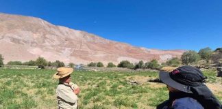 INIA Ururi y GORE lanzan proyecto para potenciar la alfalfa ancestral Alta Sierra en el Norte de Chile INIA Ururi y GORE lanzan proyecto para potenciar la alfalfa ancestral Alta Sierra en el Norte de Chile