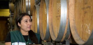 Informe de Producción de Vinos 2026 del SAG muestra un aumento de 13,2 % en la producción de vino a granel Informe de Producción de Vinos 2026 del SAG muestra un aumento de 13,2 % en la producción de vino a granel