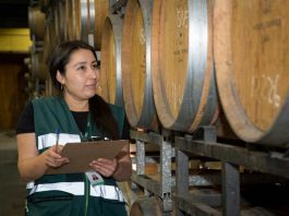 Informe de Producción de Vinos 2026 del SAG muestra un aumento de 13,2 % en la producción de vino a granel