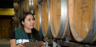 Informe de Producción de Vinos 2026 del SAG muestra un aumento de 13,2 % en la producción de vino a granel Informe de Producción de Vinos 2026 del SAG muestra un aumento de 13,2 % en la producción de vino a granel