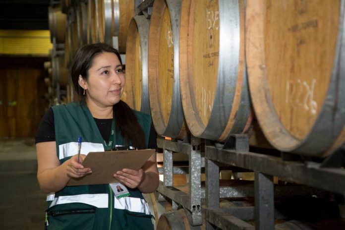 Informe de Producción de Vinos 2026 del SAG muestra un aumento de 13,2 % en la producción de vino a granel Informe de Producción de Vinos 2026 del SAG muestra un aumento de 13,2 % en la producción de vino a granel