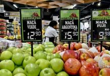 Internacional | De importar manzanas argentinas a exportar más que Argentina: el giro de Brasil que sorprende al sector Internacional | De importar manzanas argentinas a exportar más que Argentina: el giro de Brasil que sorprende al sector