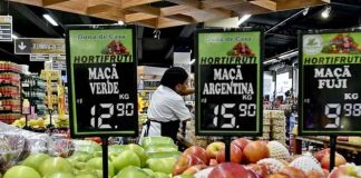 Internacional | De importar manzanas argentinas a exportar más que Argentina: el giro de Brasil que sorprende al sector Internacional | De importar manzanas argentinas a exportar más que Argentina: el giro de Brasil que sorprende al sector