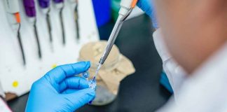 Investigadores buscan desarrollar árboles que se adapten al cambio climático