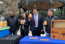 Invitan a disfrutar los tesoros de la colmena este 26 de agosto en la gran Feria Apícola del Maule Invitan a disfrutar los tesoros de la colmena este 26 de agosto en la gran Feria Apícola del Maule