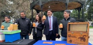 Invitan a disfrutar los tesoros de la colmena este 26 de agosto en la gran Feria Apícola del Maule