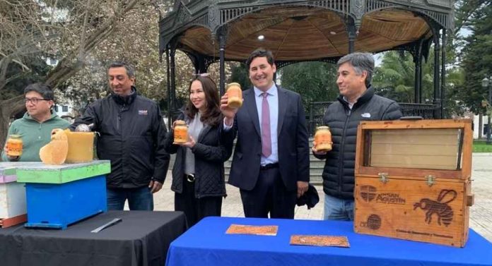 Invitan a disfrutar los tesoros de la colmena este 26 de agosto en la gran Feria Apícola del Maule