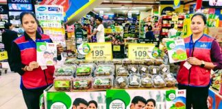 Kiwis chilenos debutaron en Goa, una de las regiones más exclusivas de India Kiwis chilenos debutaron en Goa, una de las regiones más exclusivas de India