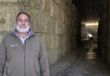 “La exportación te estabiliza el negocio”, dice Alfredo Abboud, el empresario que montó una procesadora de fardos de alfalfa en Córdoba para vender “pasto de calidad” a los países árabes “La exportación te estabiliza el negocio”, dice Alfredo Abboud, el empresario que montó una procesadora de fardos de alfalfa en Córdoba para vender “pasto de calidad” a los países árabes