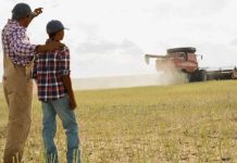 La presión financiera sobre el agro de EE.UU. abre una oportunidad para América Latina La presión financiera sobre el agro de EE.UU. abre una oportunidad para América Latina
