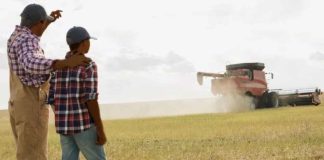 La presión financiera sobre el agro de EE.UU. abre una oportunidad para América Latina La presión financiera sobre el agro de EE.UU. abre una oportunidad para América Latina