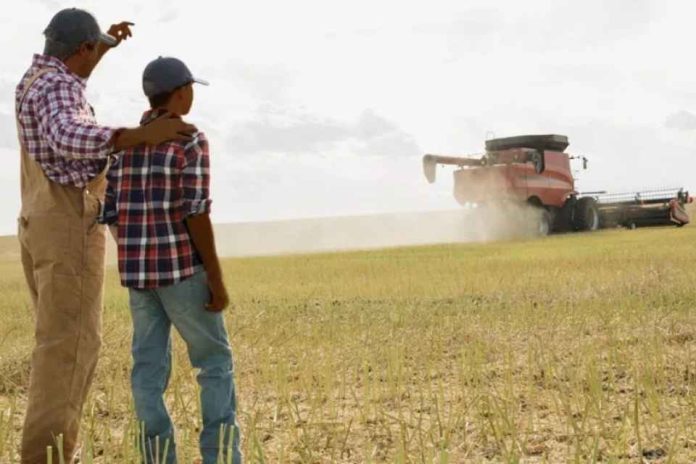 La presión financiera sobre el agro de EE.UU. abre una oportunidad para América Latina La presión financiera sobre el agro de EE.UU. abre una oportunidad para América Latina