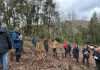 Reportaje | Los Ríos y La Araucanía avanzan en una agenda conjunta para fortalecer el manejo sostenible y el valor agregado del bosque nativo Los Ríos y La Araucanía avanzan en una agenda conjunta para fortalecer el manejo sostenible y el valor agregado del bosque nativo