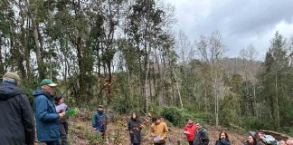 Noticia: Reportaje | Los Ríos y La Araucanía avanzan en una agenda...