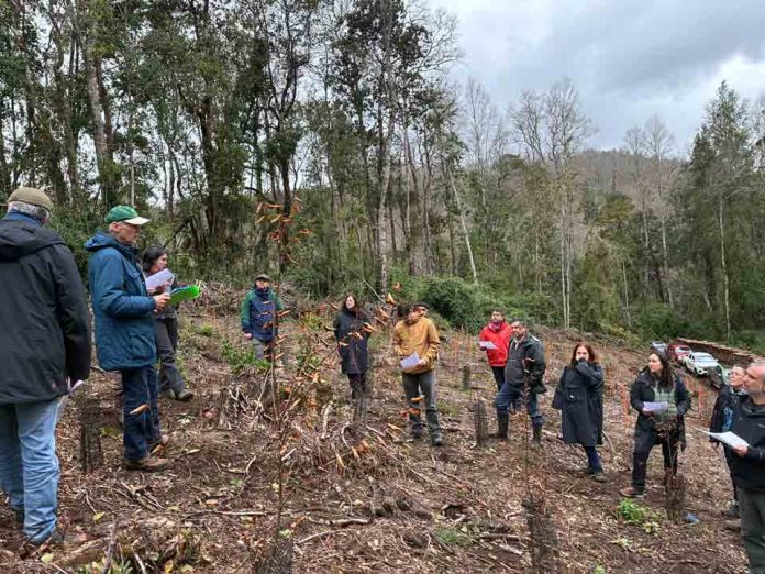 Los Ríos y La Araucanía avanzan en una agenda conjunta para fortalecer el manejo sostenible y el valor agregado del bosque nativo