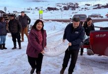 Más de 7 toneladas de alimento y 4 motocultivadores llegan a 67 familias campesinas de Puerto Natales Más de 7 toneladas de alimento y 4 motocultivadores llegan a 67 familias campesinas de Puerto Natales