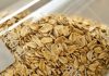 Mes de la Avena: ¿por qué este cereal sigue ganando terreno en la agricultura chilena? Mes de la Avena ¿por qué este cereal sigue ganando terreno en la agricultura chilena