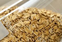 Mes de la Avena: ¿por qué este cereal sigue ganando terreno en la agricultura chilena? Mes de la Avena ¿por qué este cereal sigue ganando terreno en la agricultura chilena